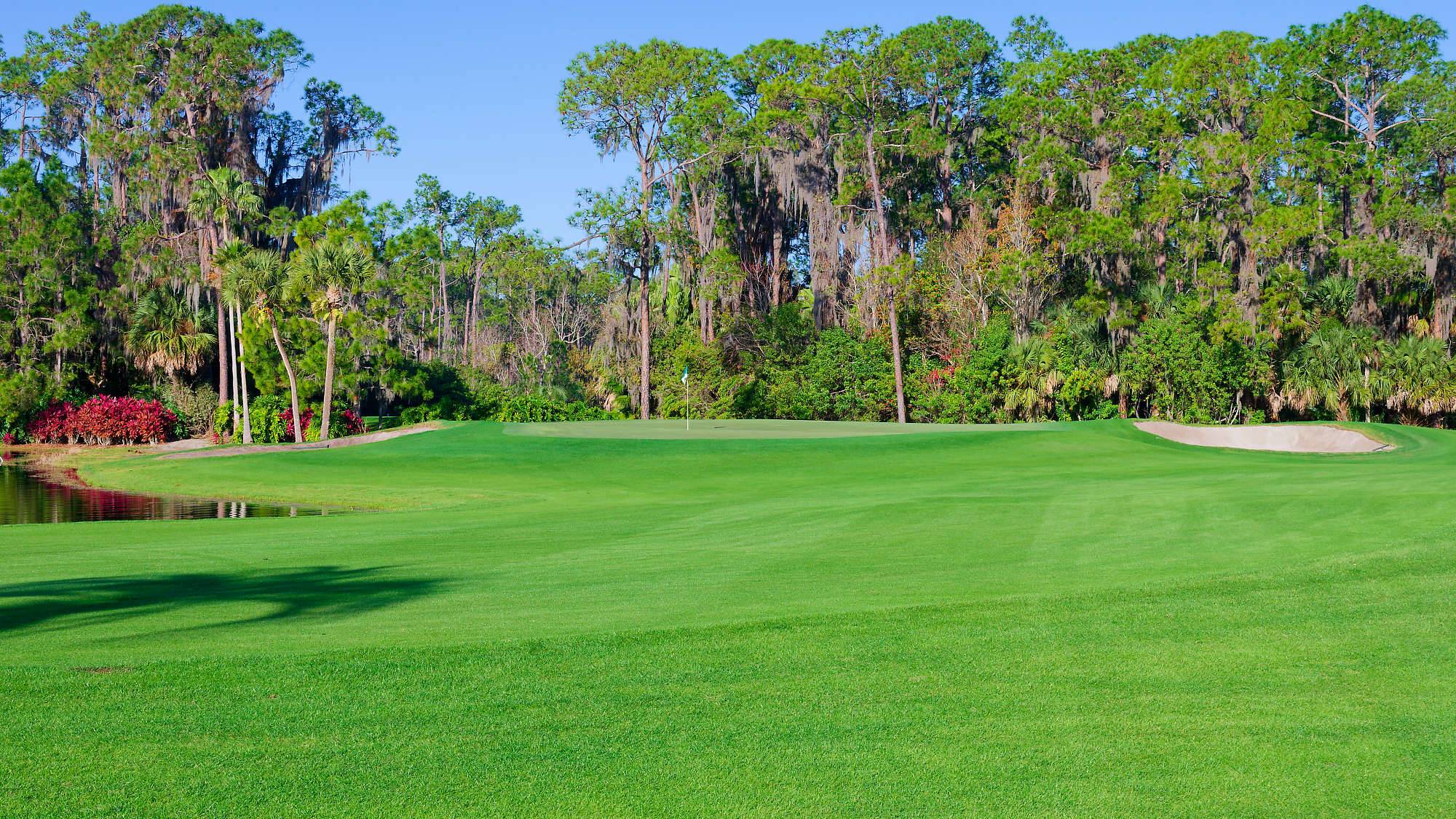 Disney Palm Bahn 10-18 MZ6 _8642_DxO