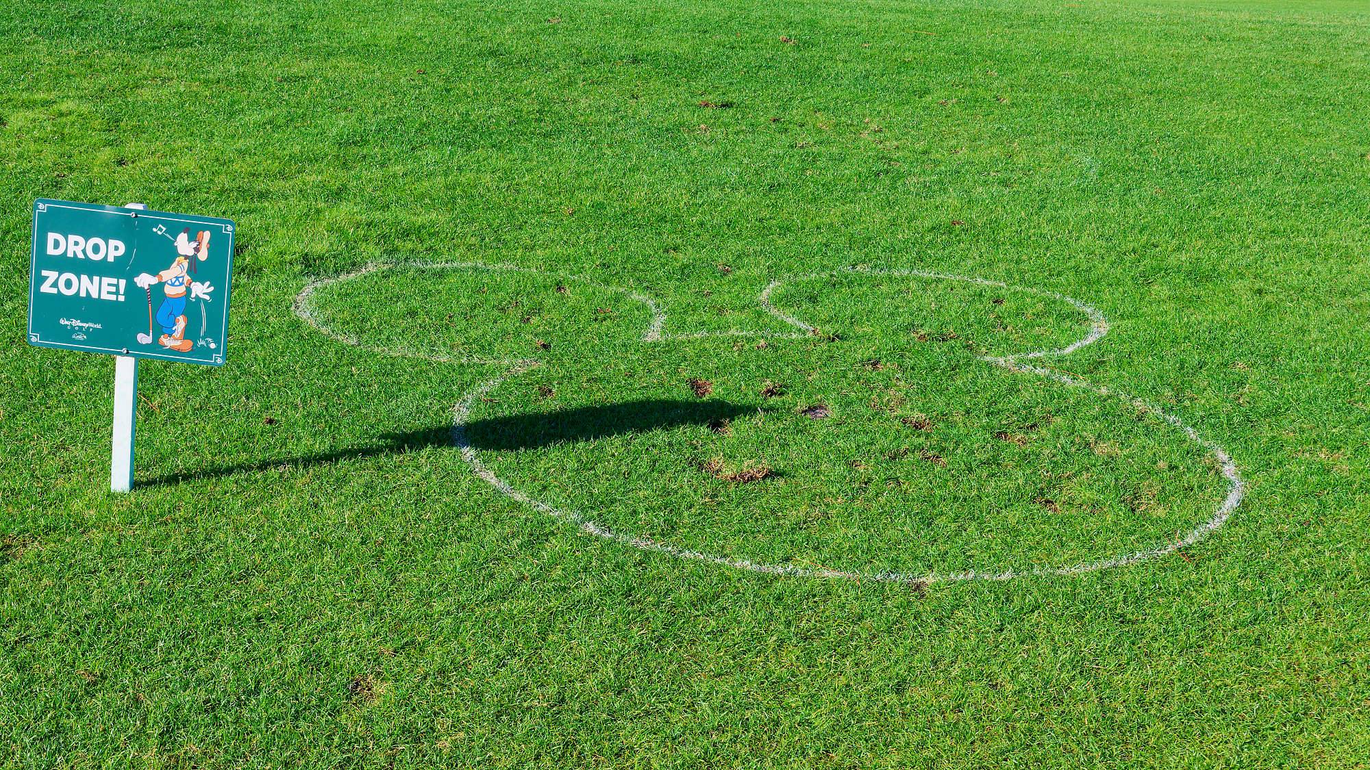 Disney Palm Bahn 10-18 MZ6 _8643_DxO