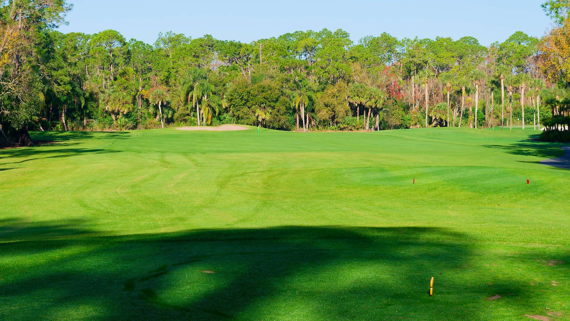 Disney Palm Bahn 10-18 MZ6 _8647_DxO