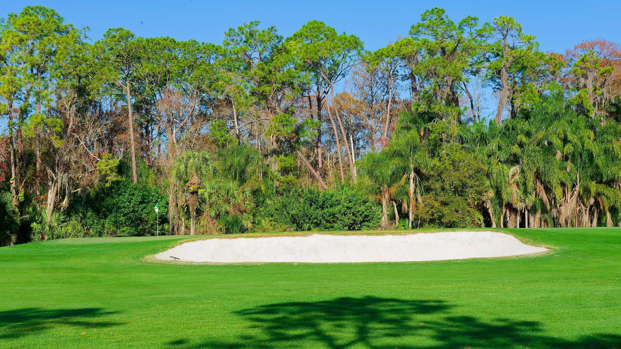 Disney Palm Bahn 10-18 MZ6 _8649_DxO