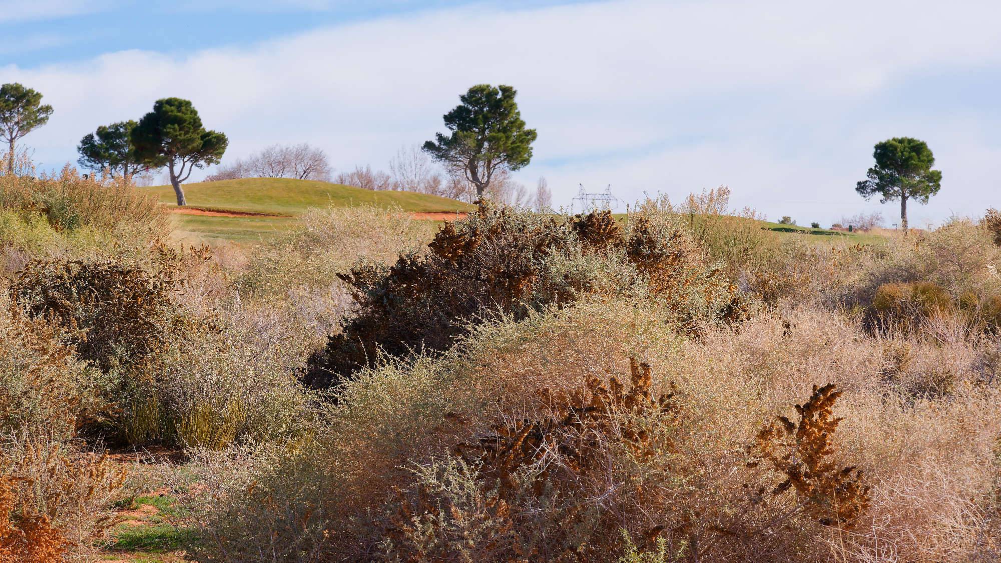 Lake Powell GC Bahn 10-18 MZ6 _6996_DxO