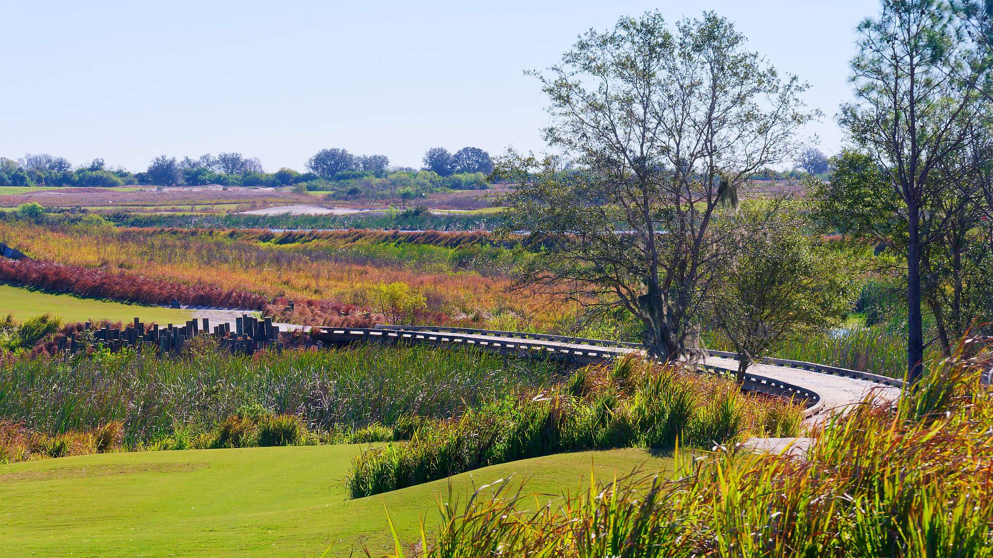Streamsong McLay Kidd Fotos MZ6 _8495_DxO