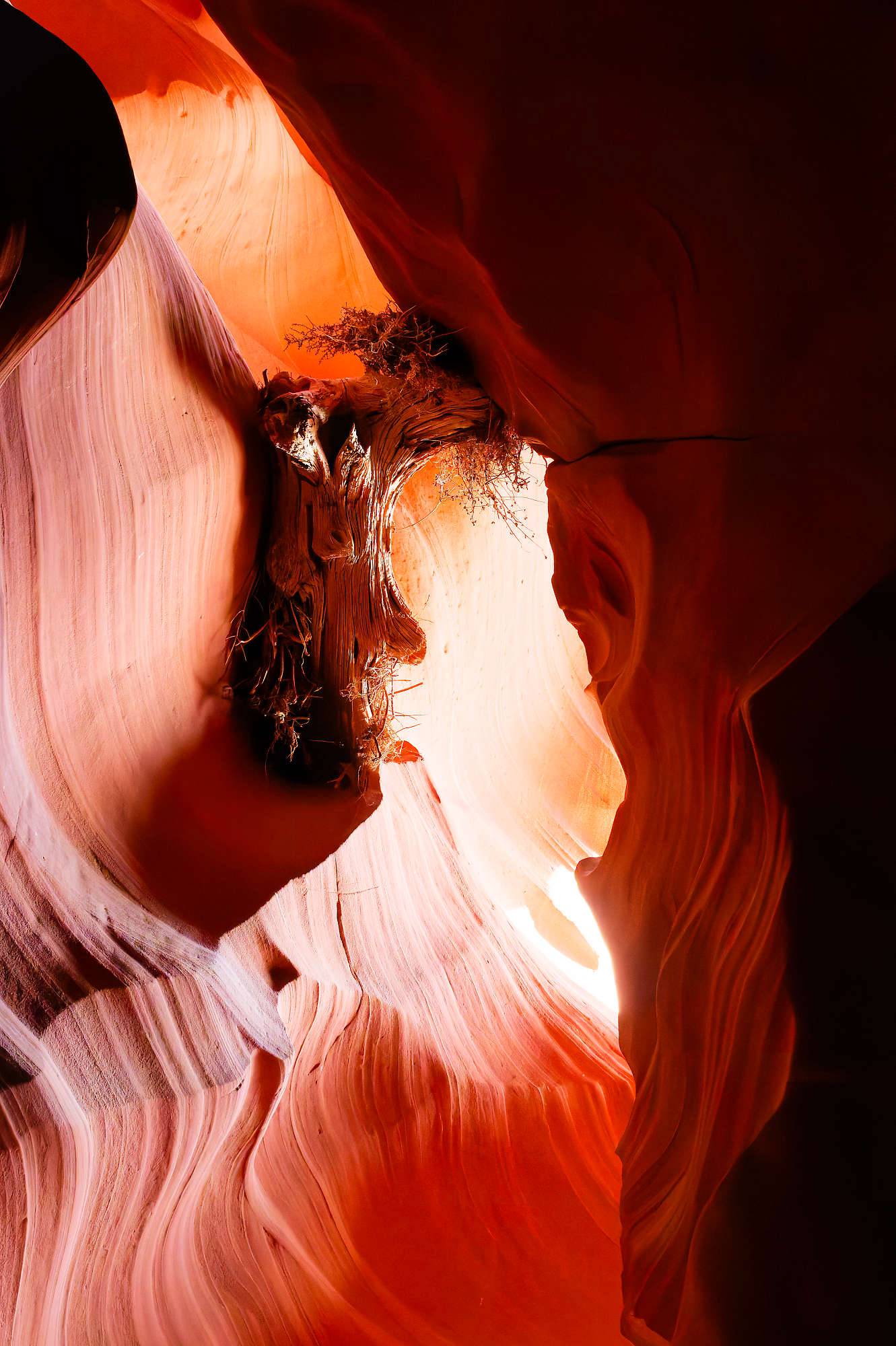 Antelope Canyon Fotos MZ6 _7211_DxO