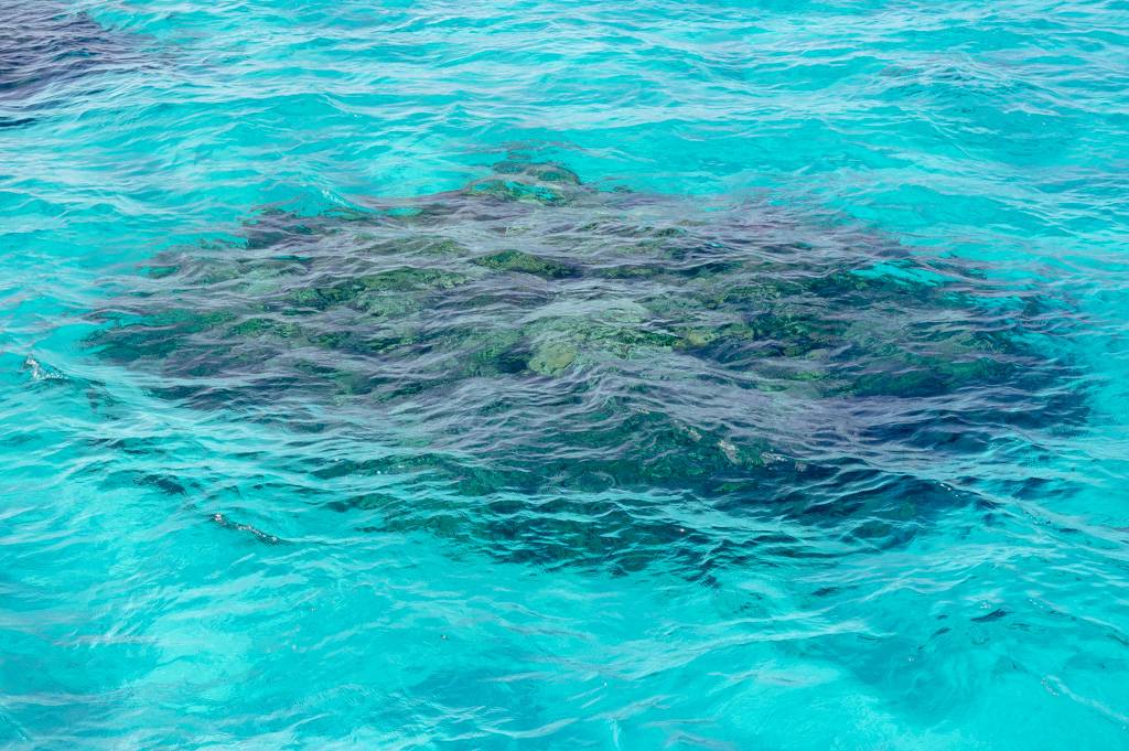 Boat Golfing MZ6 _0491