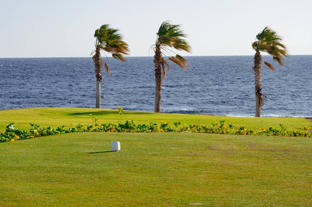 Championship Course Bahn 1-9 MZ6 _0250