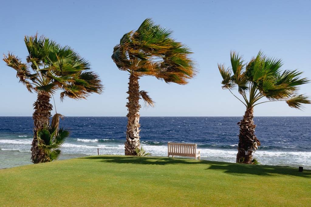 Championship Course Bahn 10-18 MZ6 _0331