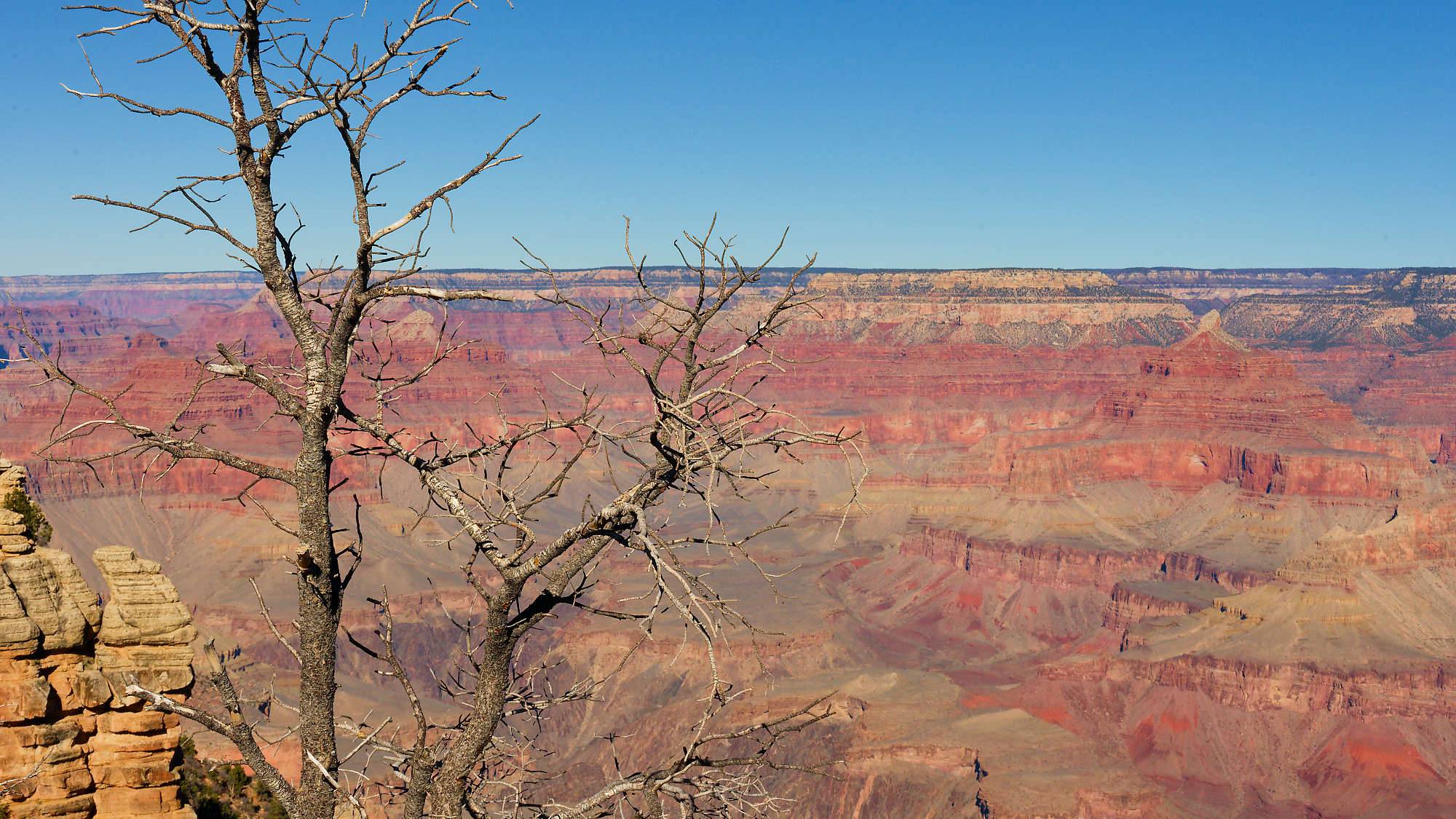 Grand Canyon Fotos MZ6 _7398_DxO