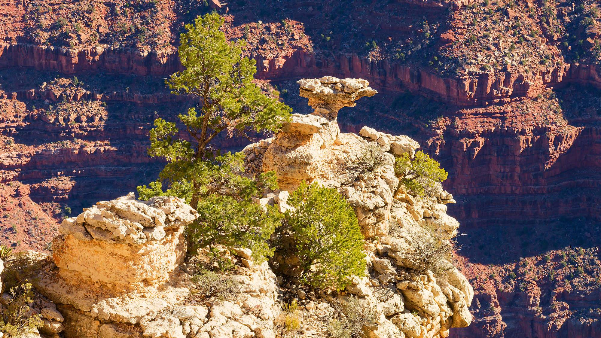 Grand Canyon Fotos MZ6 _7413_DxO