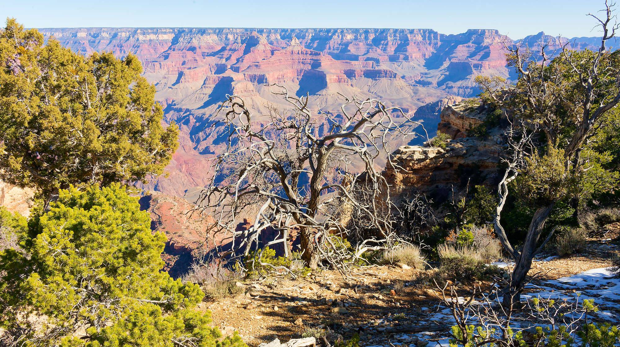 Grand Canyon Fotos MZ6 _7441_DxO