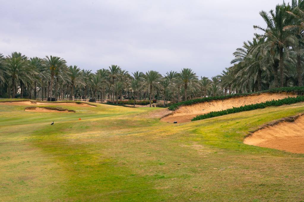 Katameya Dunes Palm Bahn 1-9 MZ6 _9680