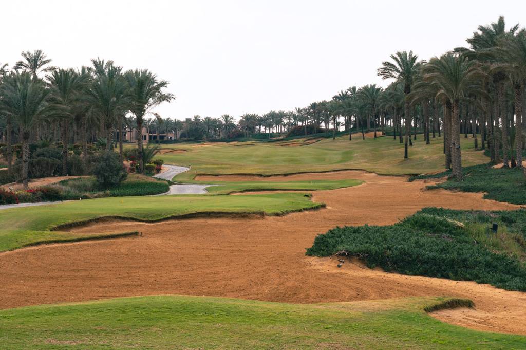 Katameya Dunes Palm Bahn 10-18 MZ6 _9685