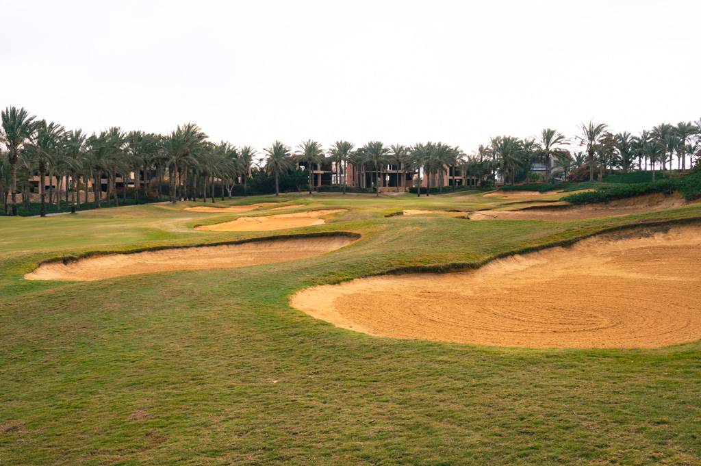 Katameya Dunes Palm Bahn 10-18 MZ6 _9688