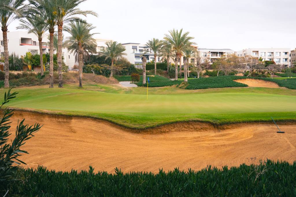 Katameya Dunes Palm Bahn 10-18 MZ6 _9719