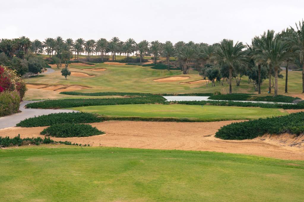 Katameya Dunes Palm Bahn 10-18 MZ6 _9730