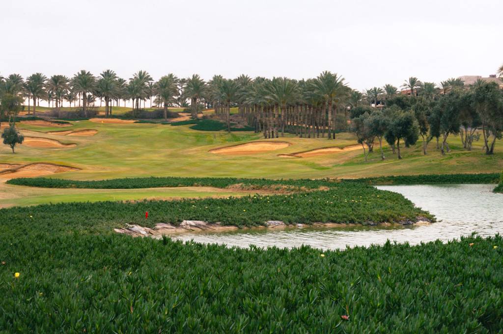 Katameya Dunes Palm Bahn 10-18 MZ6 _9731