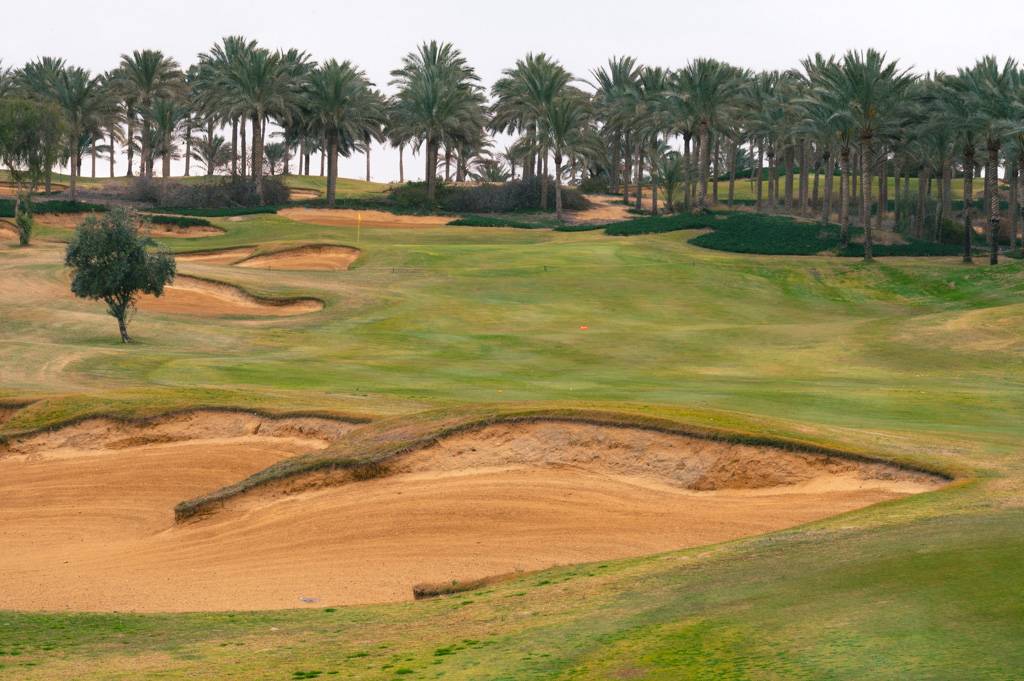 Katameya Dunes Palm Bahn 10-18 MZ6 _9733