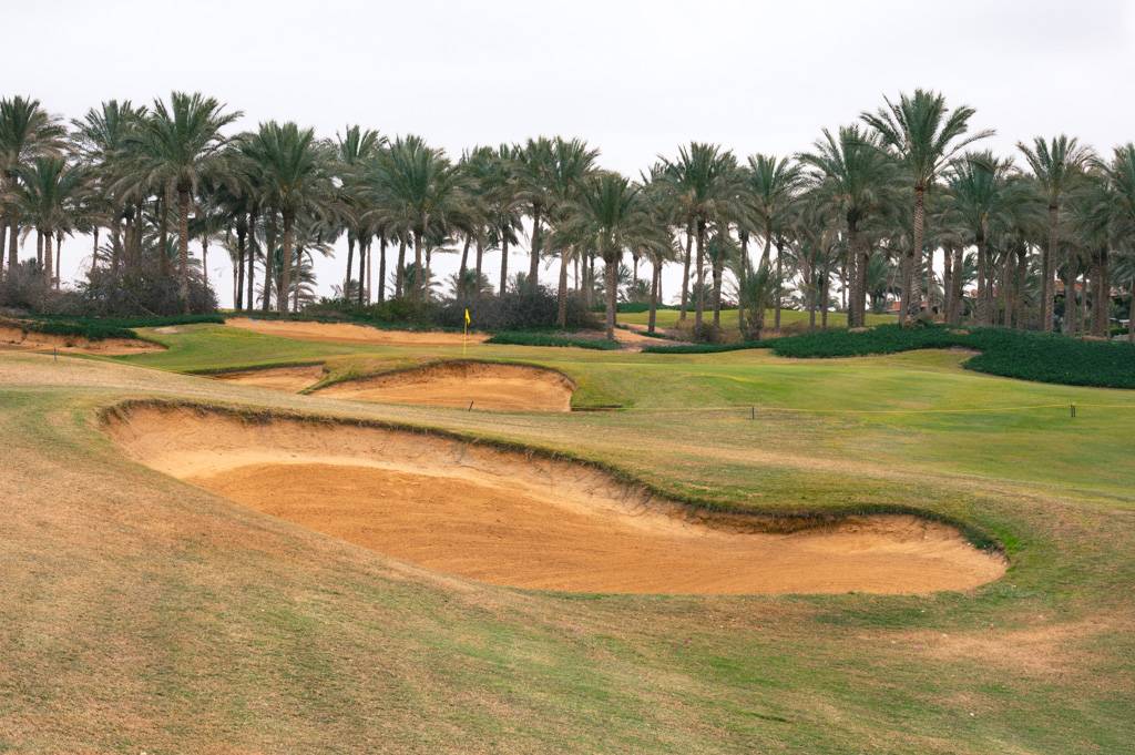 Katameya Dunes Palm Bahn 10-18 MZ6 _9735