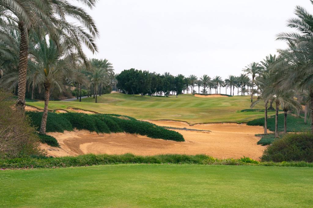 Katameya Dunes Palm Bahn 10-18 MZ6 _9743