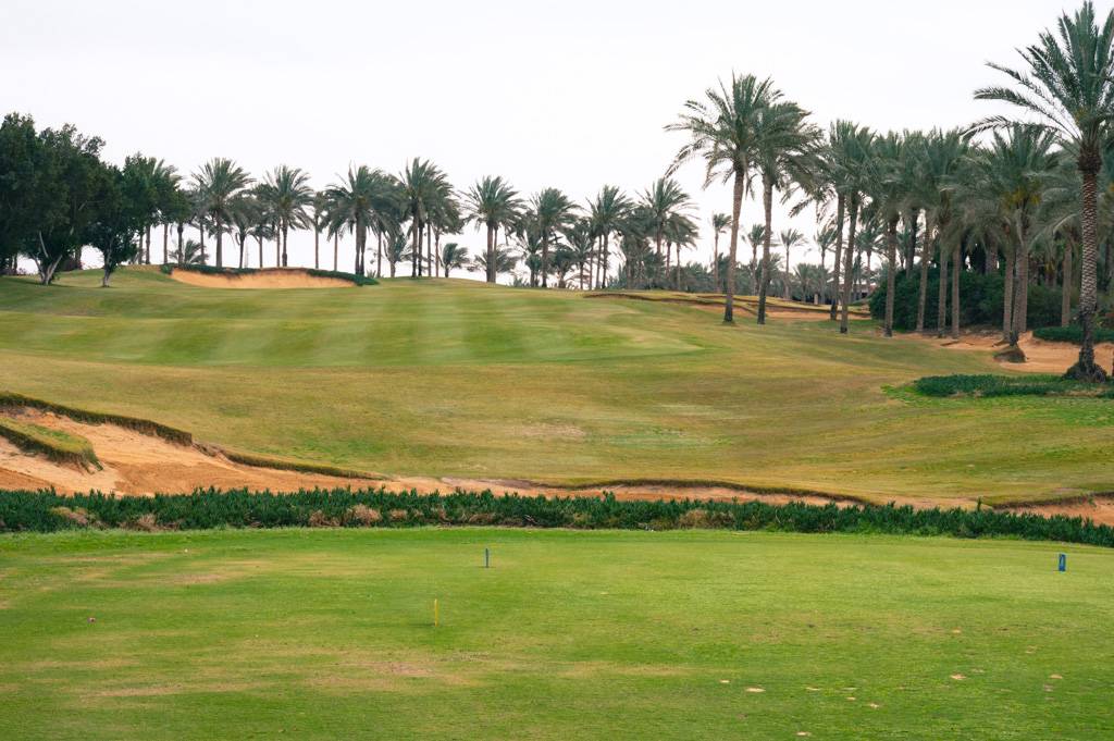 Katameya Dunes Palm Bahn 10-18 MZ6 _9746