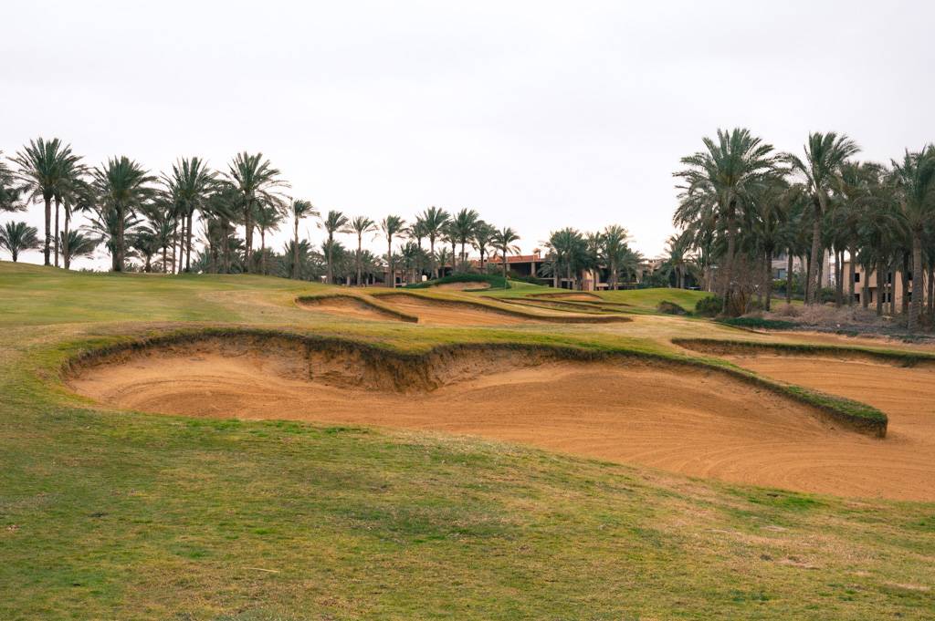 Katameya Dunes Palm Bahn 10-18 MZ6 _9747