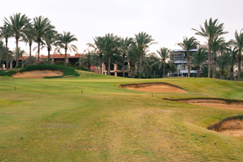 Katameya Dunes Palm Bahn 10-18 MZ6 _9748