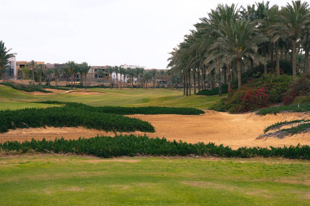 Katameya Dunes Palm Bahn 10-18 MZ6 _9749