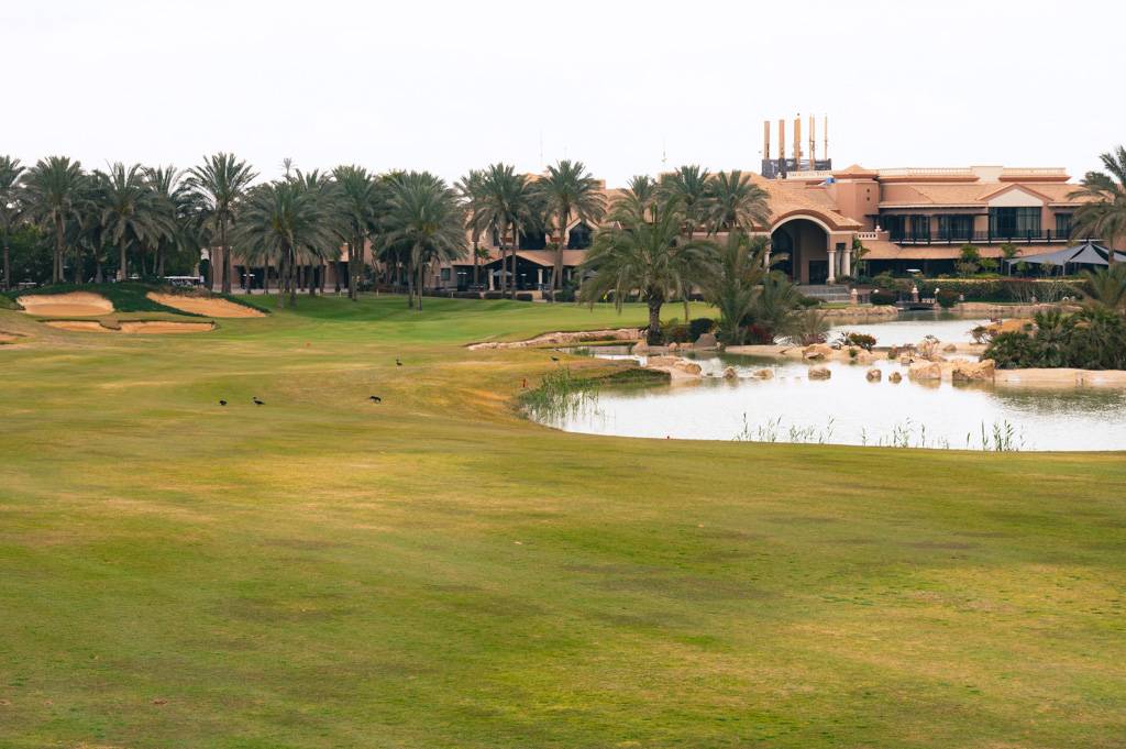 Katameya Dunes Palm Bahn 10-18 MZ6 _9752