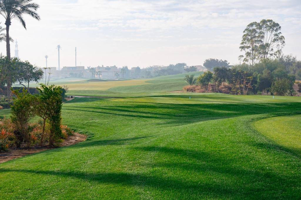 Madinaty Bahn 1-9 MZ6 _9483