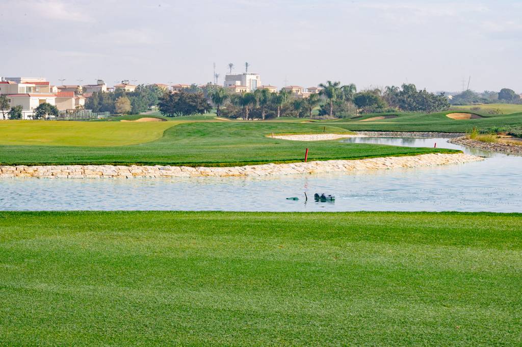 Madinaty Bahn 1-9 MZ6 _9520