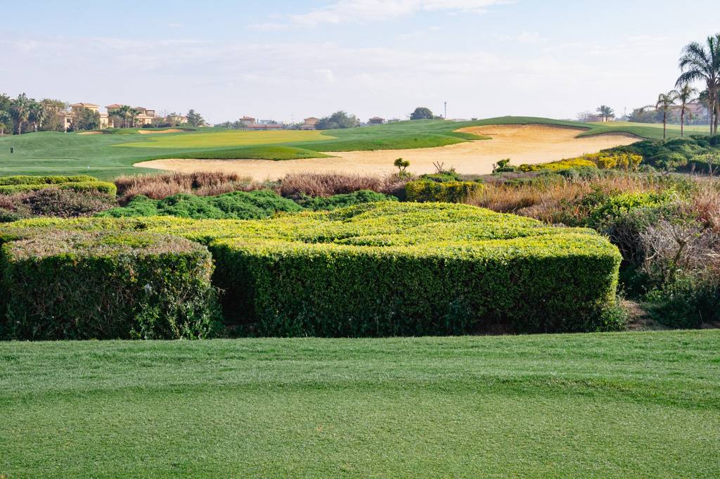 Madinaty Bahn 1-9 MZ6 _9530