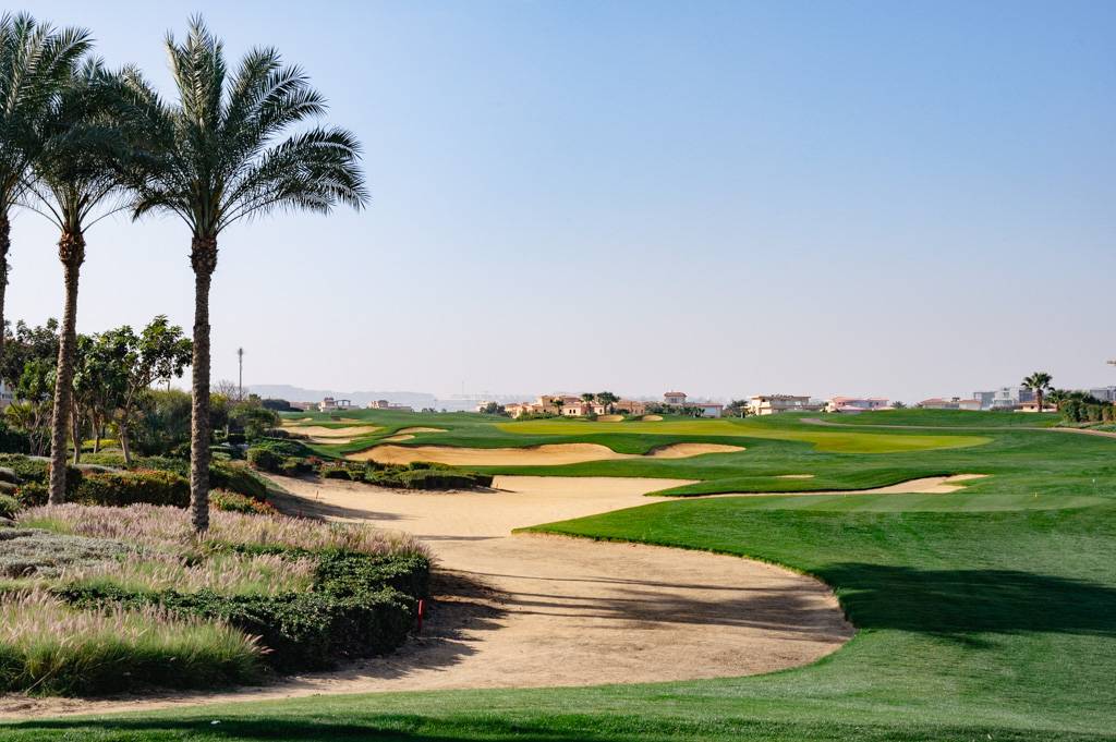 Madinaty Bahn 1-9 MZ6 _9547