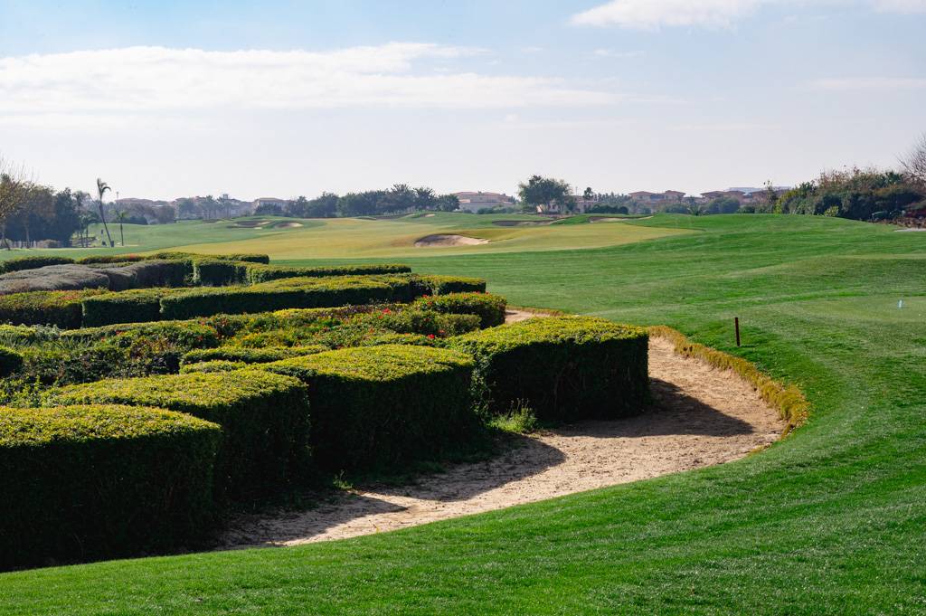 Madinaty Bahn 10-18 MZ6 _9558