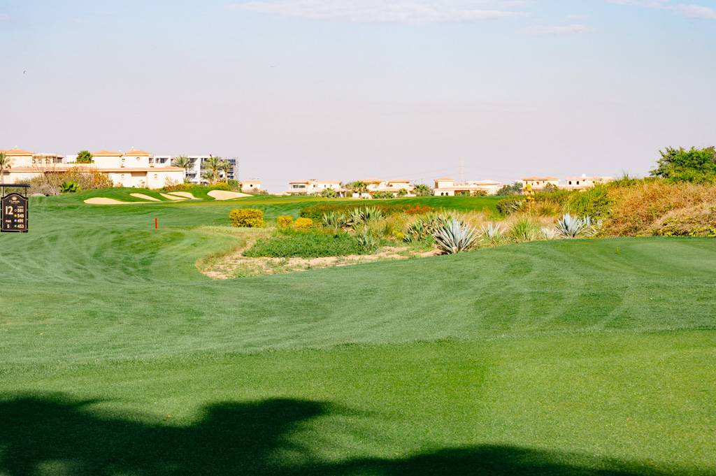 Madinaty Bahn 10-18 MZ6 _9572