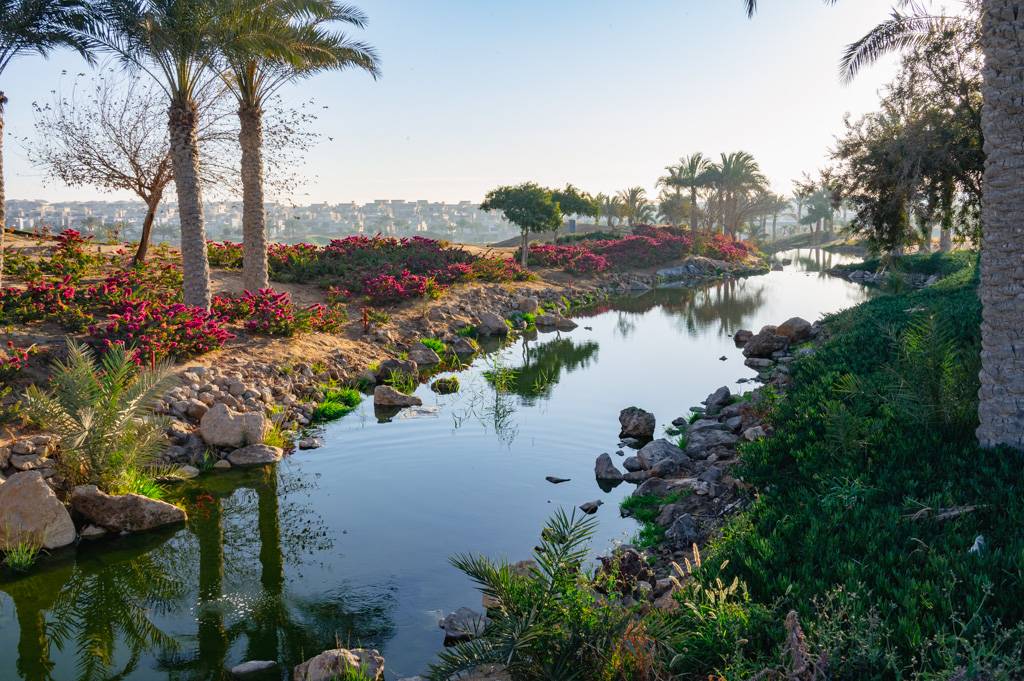 Newgiza Bahn 1-9 MZ6 _9068