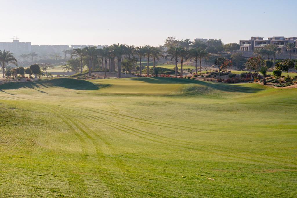 Newgiza Bahn 1-9 MZ6 _9069