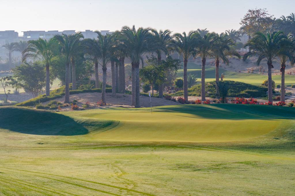 Newgiza Bahn 1-9 MZ6 _9070