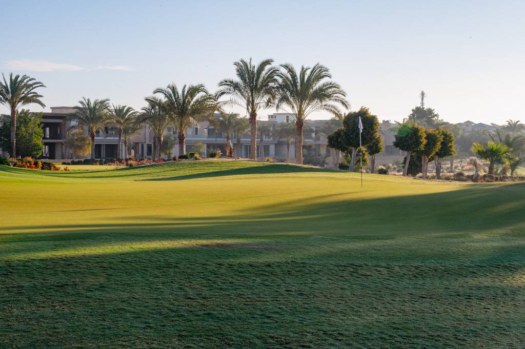 Newgiza Bahn 1-9 MZ6 _9072