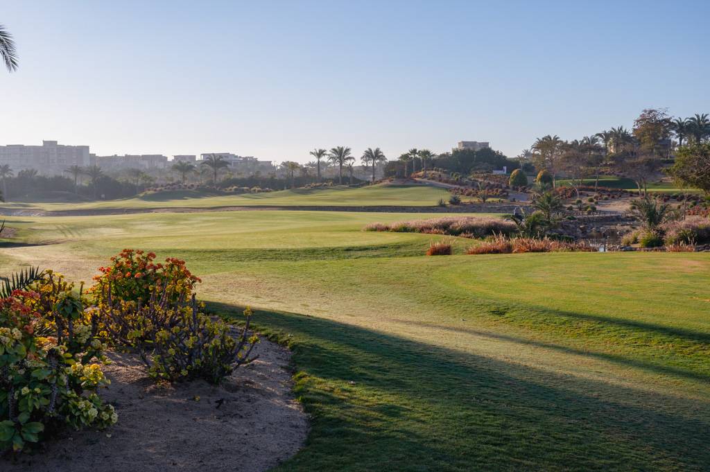 Newgiza Bahn 1-9 MZ6 _9075