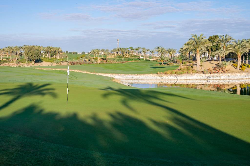 Newgiza Bahn 1-9 MZ6 _9083