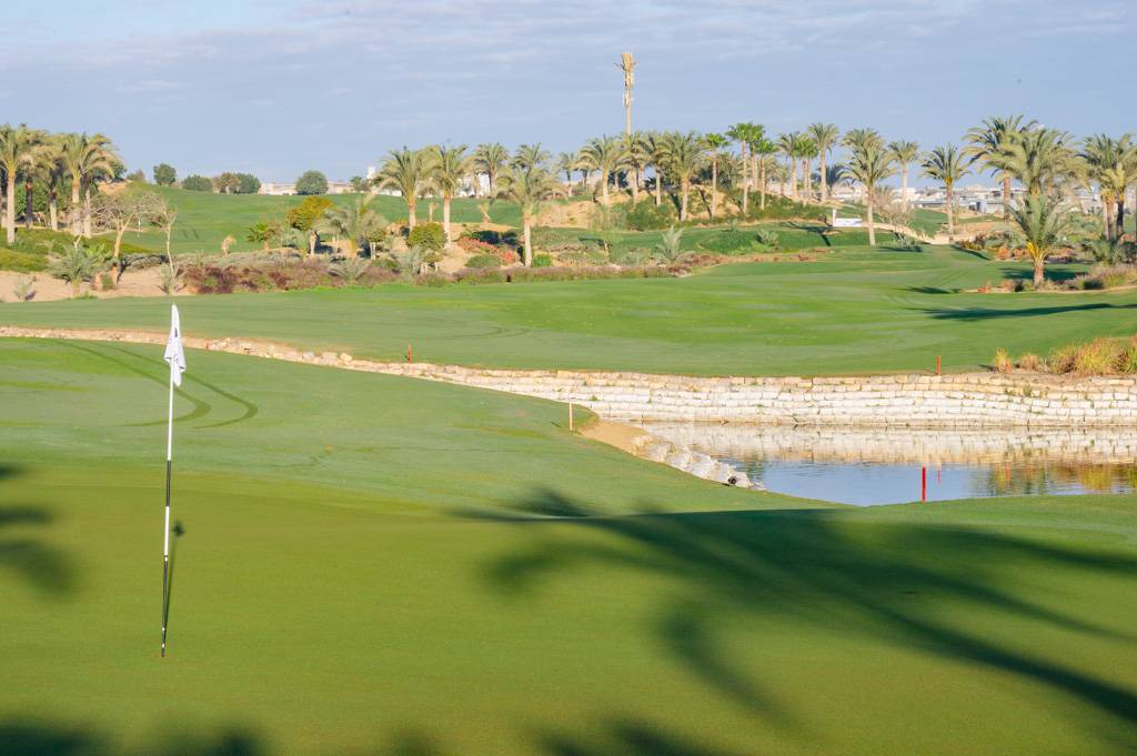 Newgiza Bahn 1-9 MZ6 _9084