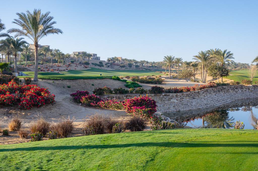 Newgiza Bahn 1-9 MZ6 _9085