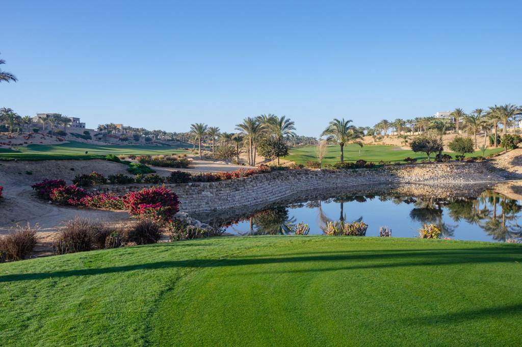 Newgiza Bahn 1-9 MZ6 _9087