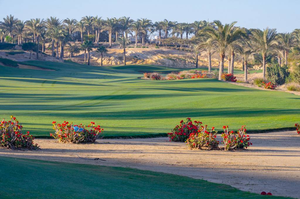 Newgiza Bahn 1-9 MZ6 _9089