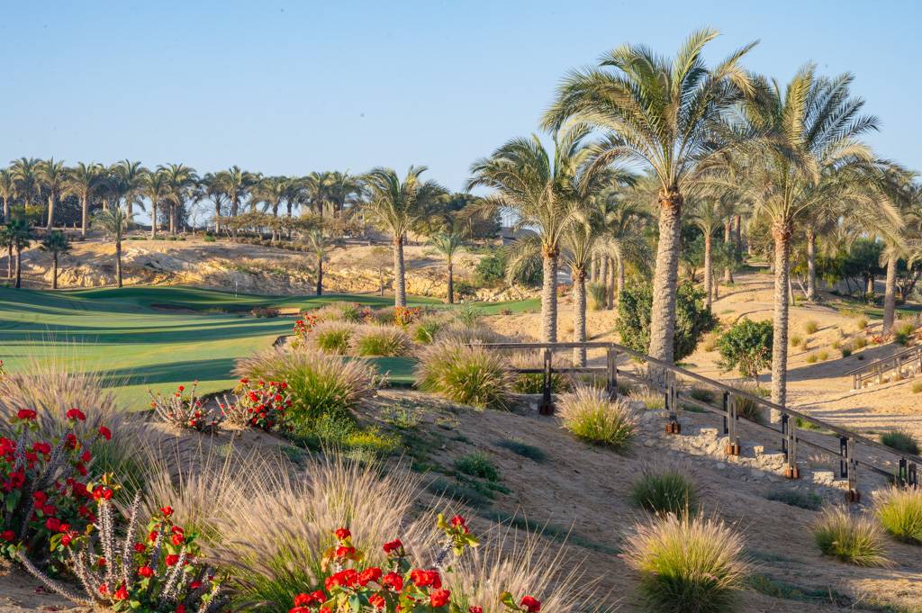 Newgiza Bahn 1-9 MZ6 _9091