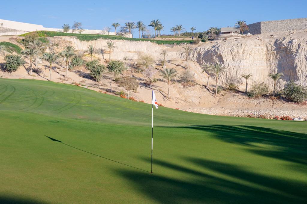 Newgiza Bahn 1-9 MZ6 _9107