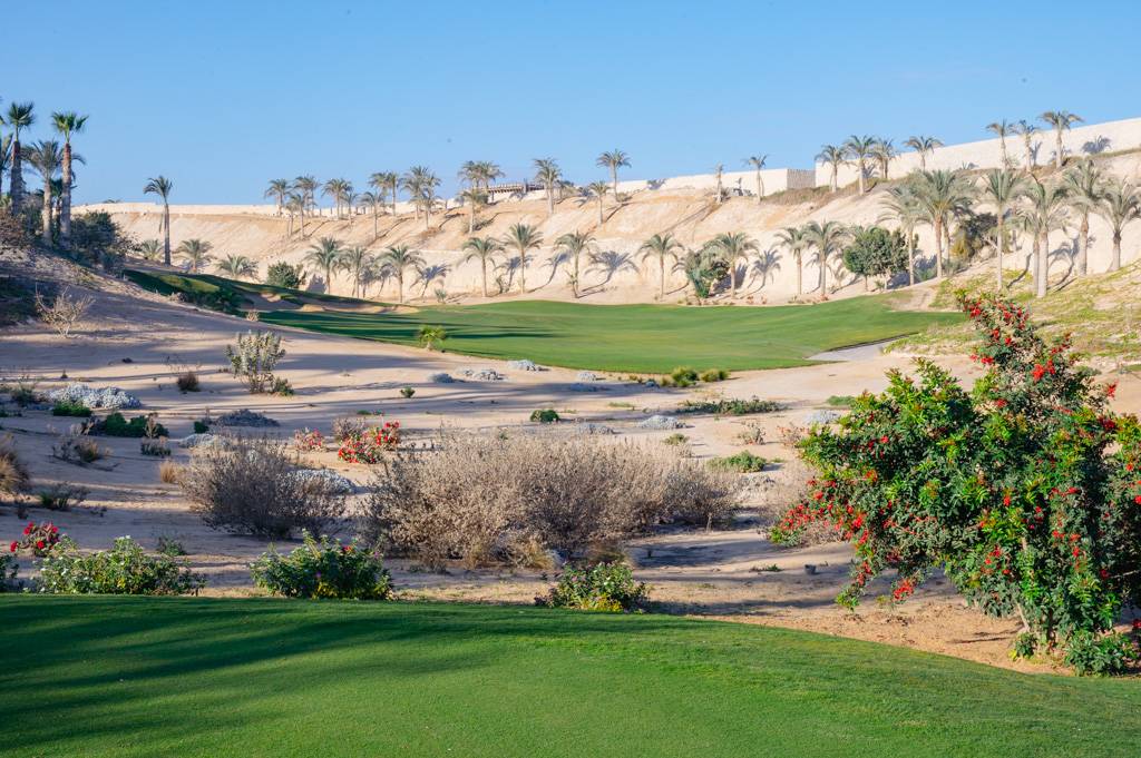 Newgiza Bahn 1-9 MZ6 _9109