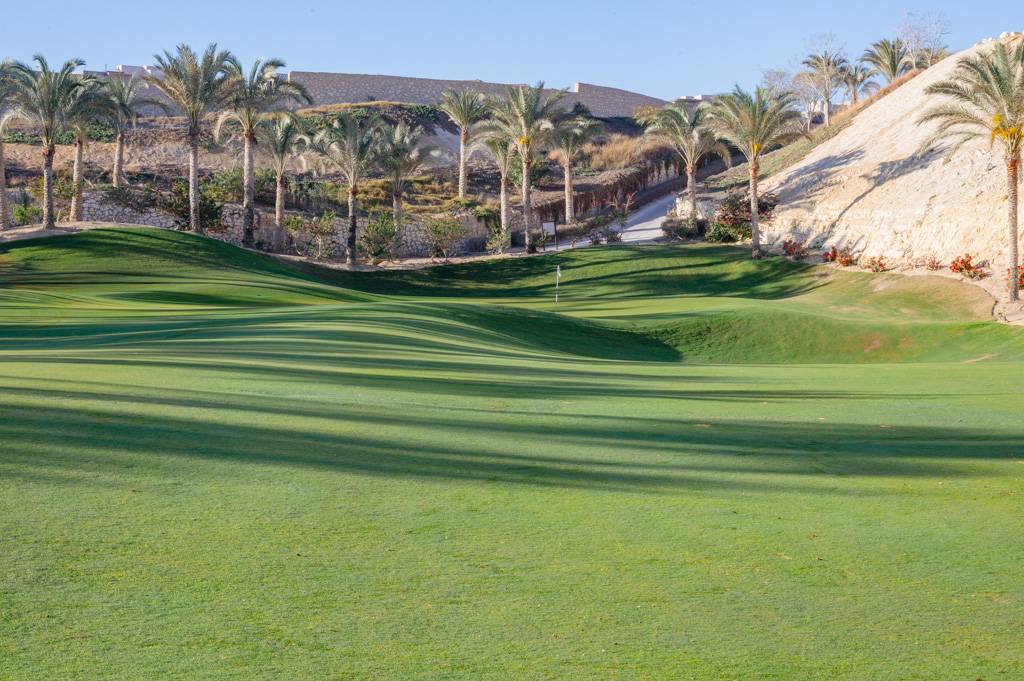 Newgiza Bahn 1-9 MZ6 _9111