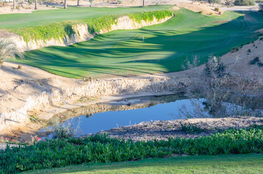 Newgiza Bahn 1-9 MZ6 _9117