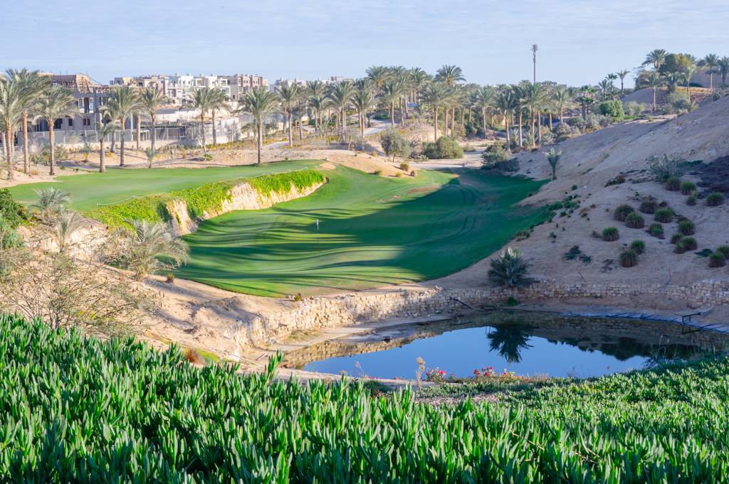 Newgiza Bahn 1-9 MZ6 _9119