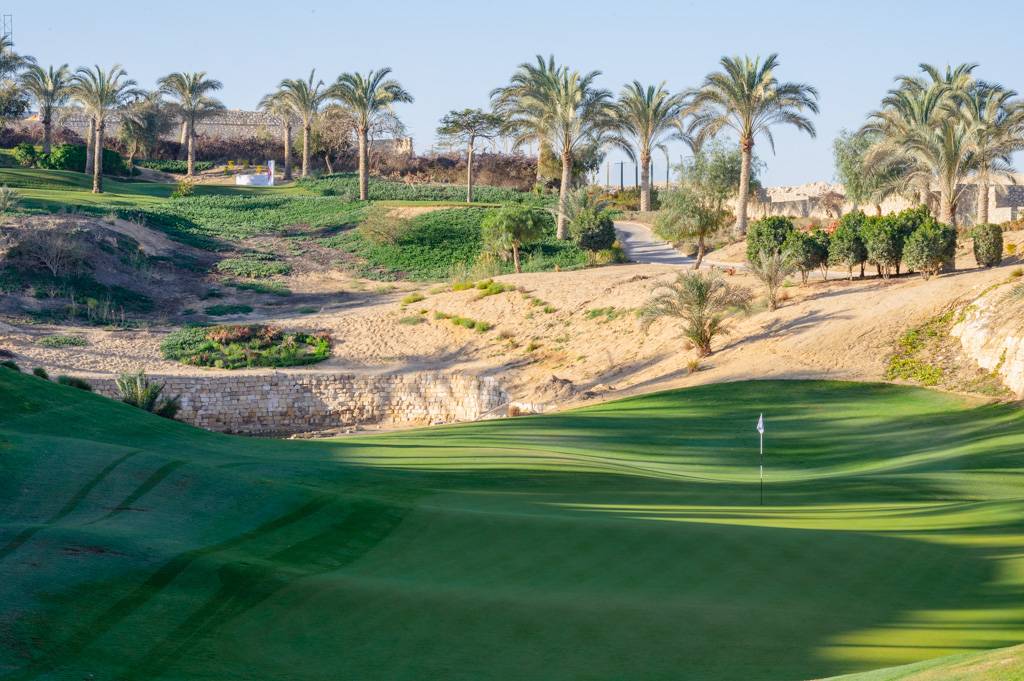 Newgiza Bahn 1-9 MZ6 _9120